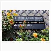 近場で五月晴れを楽しむ。
