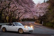 GWどうお過ごしでしょうか(=ﾟωﾟ)ﾉ私はまだ1か月前を振り返っています(￣▽￣)