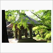 あきる野市で秘境探し