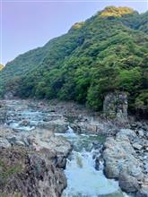 今日も早めに