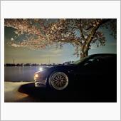 桜+NSX vol.13 k ...