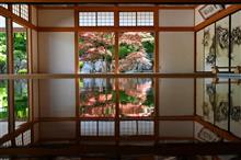 春の「床もみじ」特別公開～宝徳寺