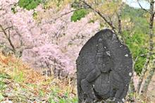 伊那方面の桜 (2022.04.17)