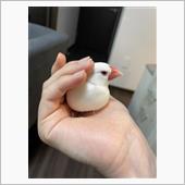 敵認定♪(笑)