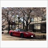 桜+NSX vol.14 Ｔ ...