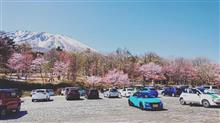 GW前半エスロクドライブ