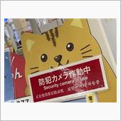 ニャ〜