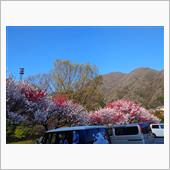 お出かけ「岐阜県」4/20