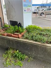 気になる〜