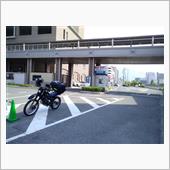昨日から…