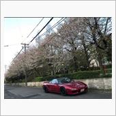 桜+NSX vol.15 り ...