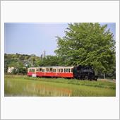 今日もなるべく渋滞を避けよう！