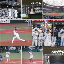 野球観戦（埼玉西武vs北海道日本ハム）