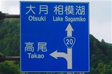 藤野芸術の森で山の目を探してきました