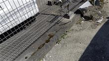 【盗難】こんな平和な街なのに【未遂】