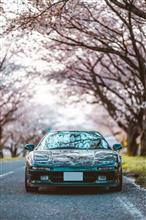 桜+NSX vol.16 マッキー号
