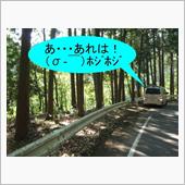それはアカン！アカンやつや！ ...