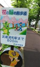 通勤途中の花と緑の散歩道♪