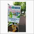 通勤途中の花と緑の散歩道♪