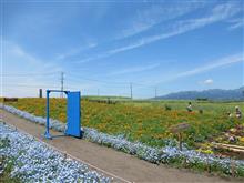 鼻高展望花の丘　&#39;22.5.10