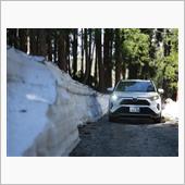 RAV4 PHV で新緑の東 ...