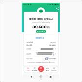 耳を揃えてPay