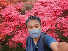 【速報第２回目】　大和葛城山　つつじ開花速報　2022年5月11日(水)15時現在