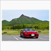 少し遅かった大山新緑ドライブ