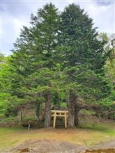 世界遺産「橋野鉄鉱山」 