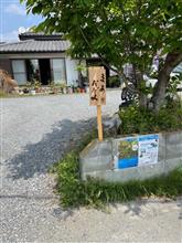 襲撃をするつもりが。。。 襲撃をするつもりが。。。