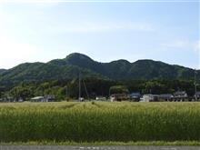 否・黄金週間