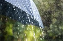 雨と風が強いです…