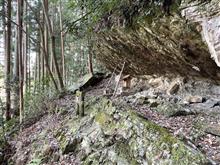 面白いモノ見っけ！（２）