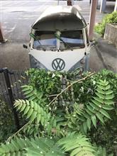 バス、ワゴン　昭和・平成の草むらヒーロー 