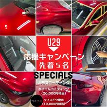 これからの時期の強い味方！