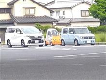 お！？珍しい！！