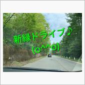 新緑ドライブ♪