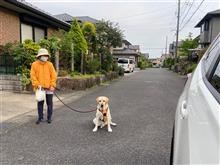 散歩に出かけるたまちゃんと会う