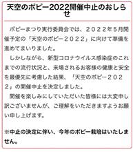 天空のポピー