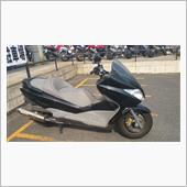 自賠責保険更新