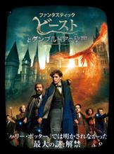 映画鑑賞〜立て続け(๑╹ω╹๑ )