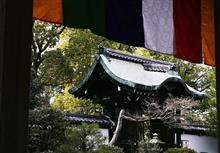Japan as non-Nuclear possession country?