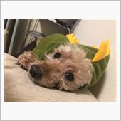 みんカラ：モニターキャンペー ...