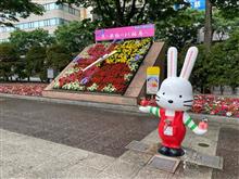 今朝の福島民友に載ってた(&#180;・ω・)