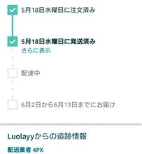 まさかの国際便