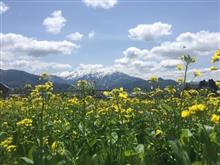 ESPオフ ESPオフ