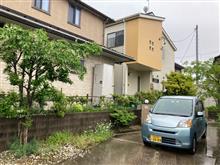 雨ですわ(&#180;・ω・)