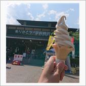道の駅平成 ミックスソフトク ...