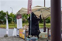 今日の道の駅いいで