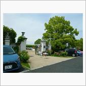 妖艶なバラ鑑賞に St.GR ...